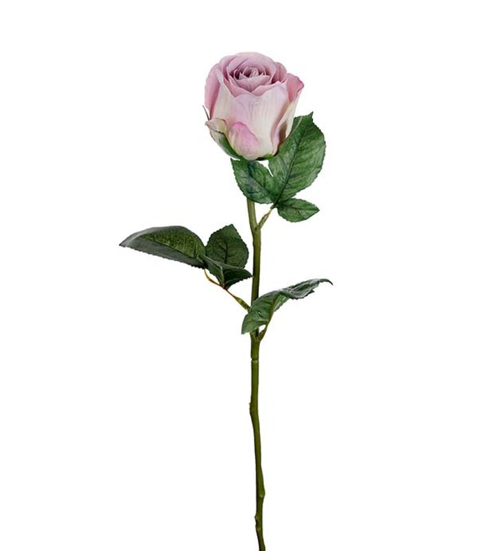 Rose 50 cm (lilla)