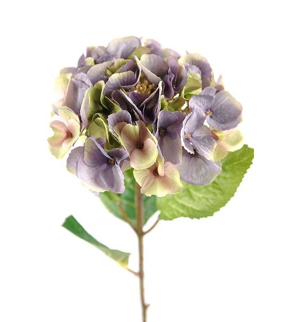 Hovedbilde Hortensia 45 cm (lilla)
